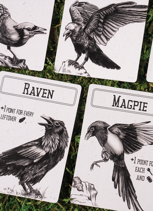 Corvids (Upgraded Edition) – DVC Games
